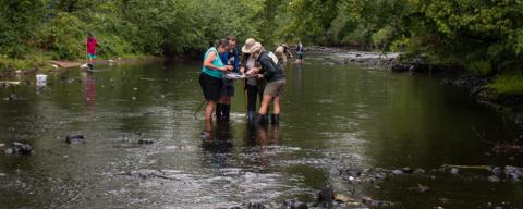 group of volunteers working together in a river 