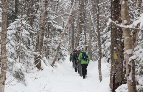 People walking through snowy woods