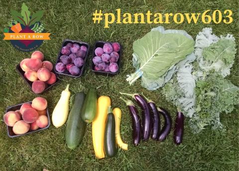 Pictured is a fruit and vegetable harvest with a hashtag.