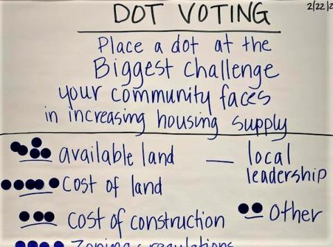 Housing Academy dot voting poster