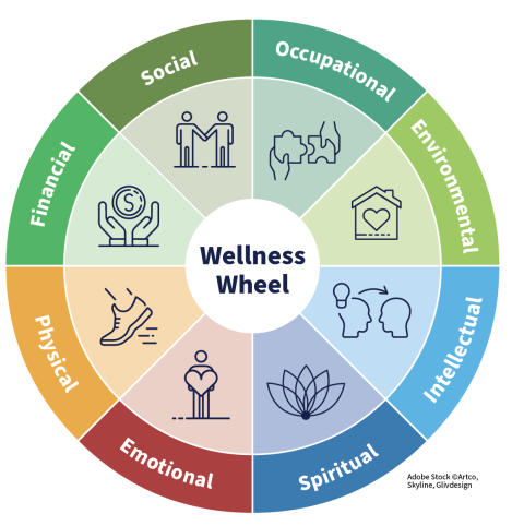 wellness wheel unh extension with photo credit transparent background